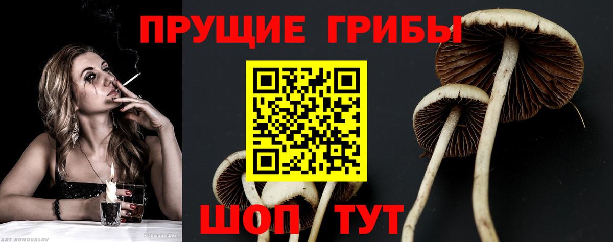 что такое наркотик  Вход с VPN  Томск  Галлюциногенные грибы GOLDEN TEACHER 